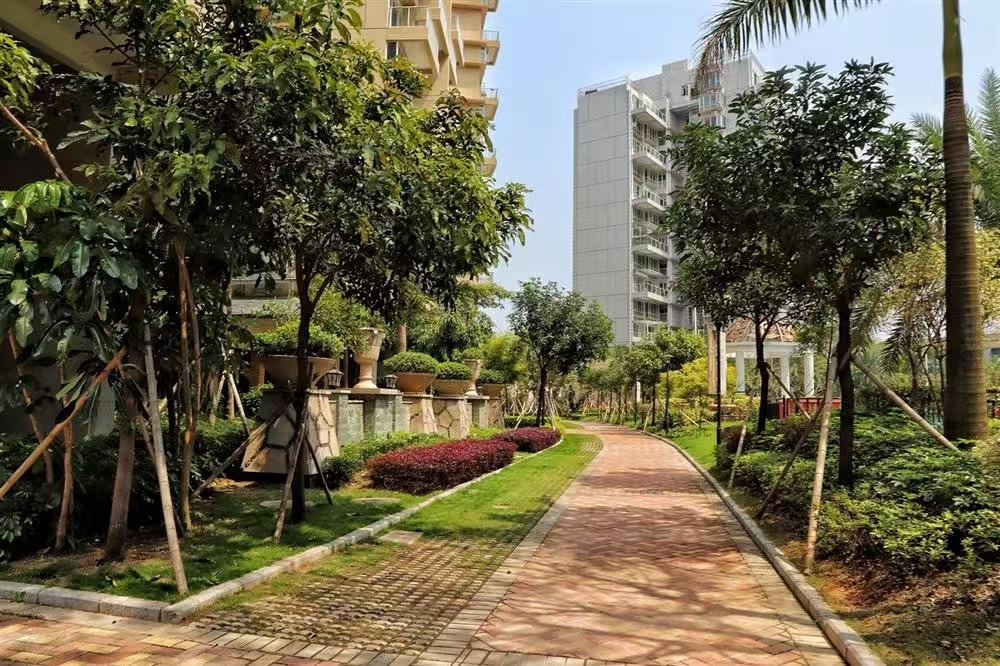 1745378607999519.jpg 389f58482b9eed15316586df04f7556.jpg