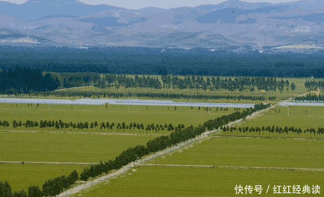 各個(gè)回遷房小區(qū)的具體情況也不一樣