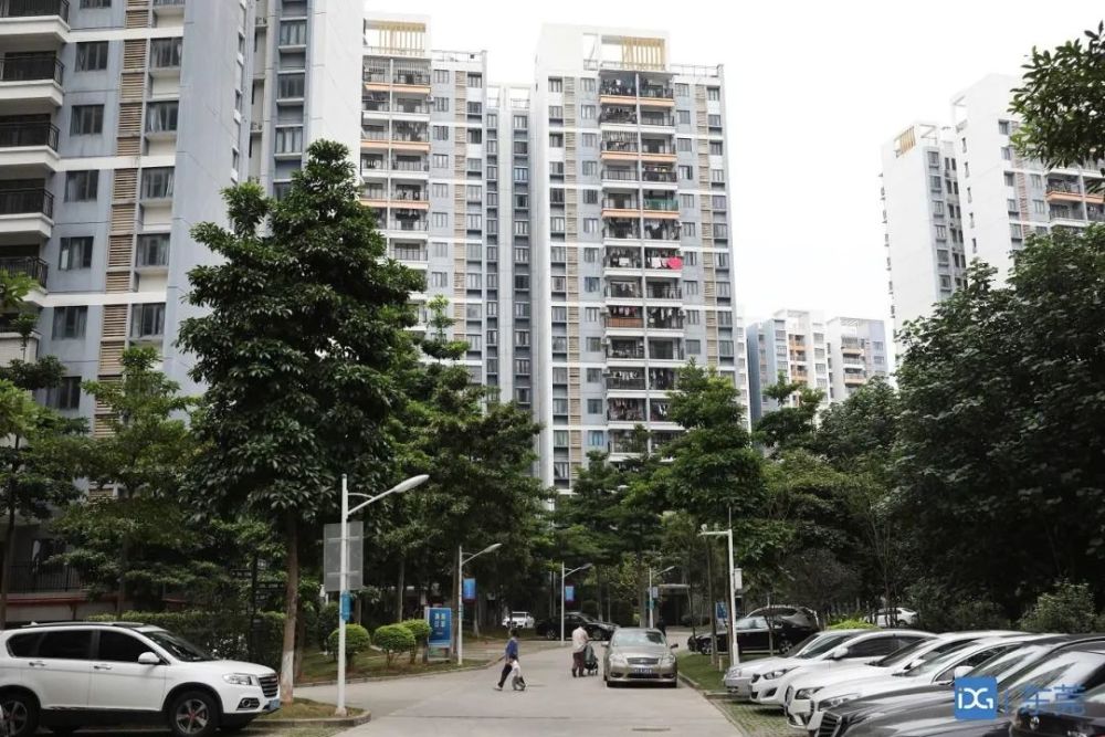 大瀝鎮城建與水利局有關負責人表示