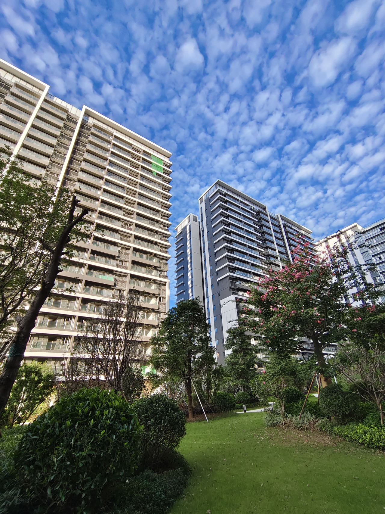 1773114954523084.jpg 1773114954523084.jpg